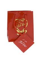 Glossy Shopping Totes