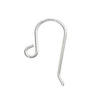 Sterling Silver Earwire Earring