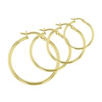 Vermeil Hoop Earring-D