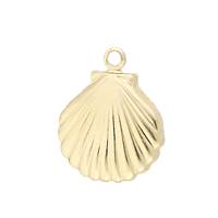 Gold Filled Clamshell 13mm Charm