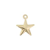 14K 8mm Star Charm