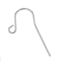 Sterling Silver Earwire Earring