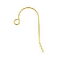 Gold Filled Earwire Earring ( B )