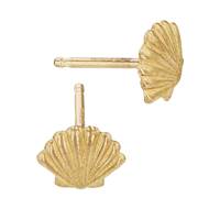 14K Shell Stud Earring