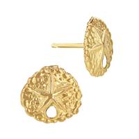 Gold Filled Sand Dollar Stud Earring