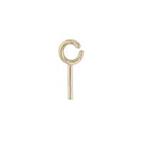 14K Eye Pin