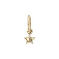 14K Star Charm