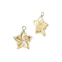 Gold Filled Swirl Star Charm