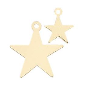 Gold Filled Star Flat Sheet 14mm Charm