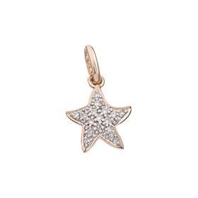 14kr 10mm 6pts/16pcs starfish charm