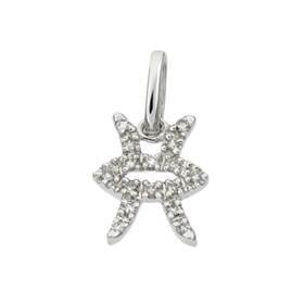 14kw 10mm 7pts/16pcs pisces charm
