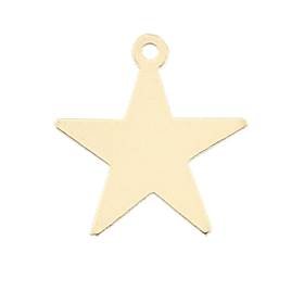 14ky 14mm star charm