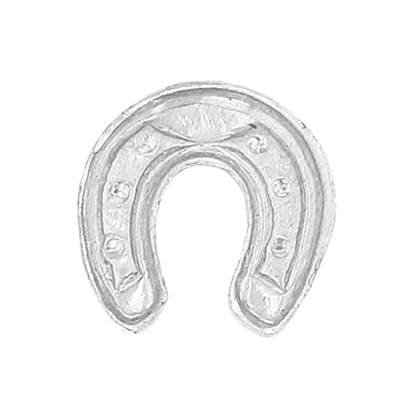 ss 6mm horseshoe charm