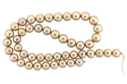 semi-round shape pearl freshwater champagne pearl graduated 9-10mm