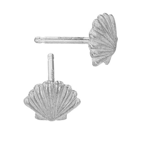 ss 6mm shell stud earring