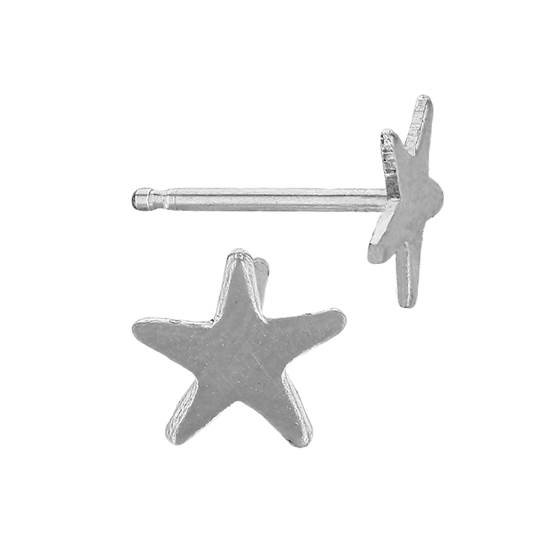 ss 5.5mm star stud earring