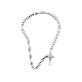 14kw kidney earwire earrings