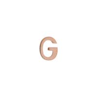 14KR 4.77mm Letter G