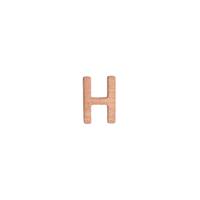 14KR 4.77mm Letter H