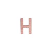 14KR Letter H 6.19mm