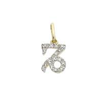 14KY 11mm 6pts/14pcs Capricorn Charm