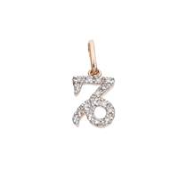 14KR 11mm 6pts/14pcs Capricorn Charm
