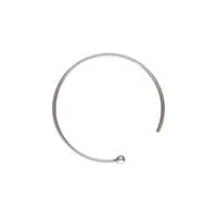 SS 18mm Endless Ball Earwire Earring