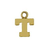 GF 8mm Block Style Letter T Charm
