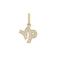 14KY 9mm Cubic Zirconia Capricorn Charm