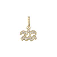 14KY 7.5mm Cubic Zirconia Aquarius Charm